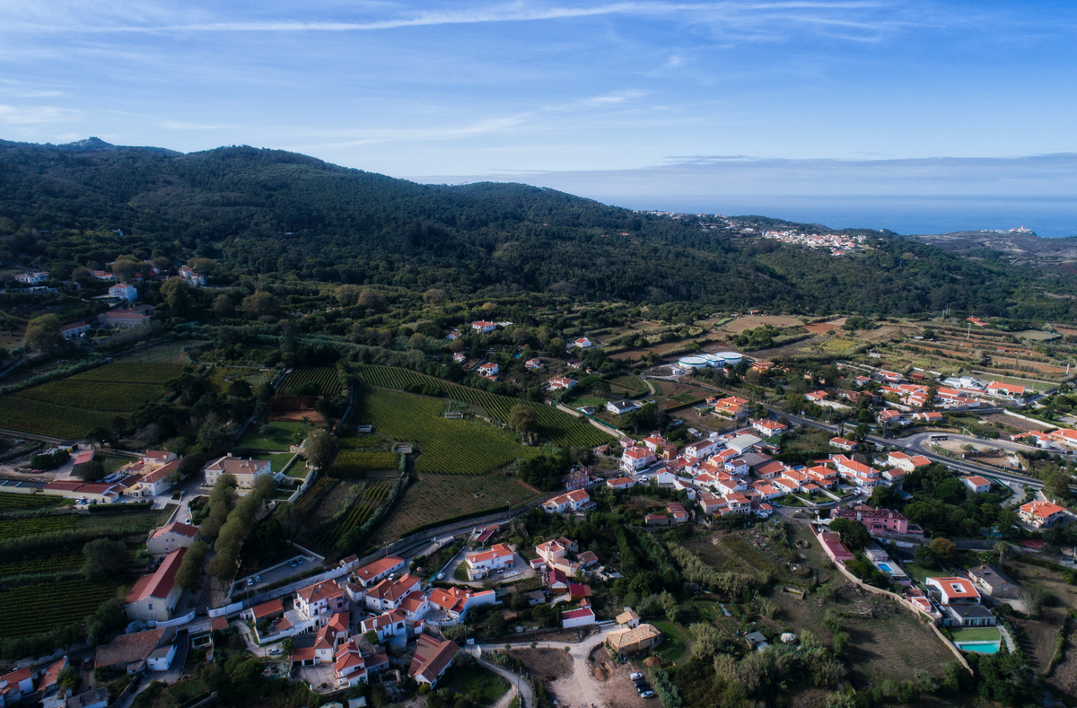 img-region